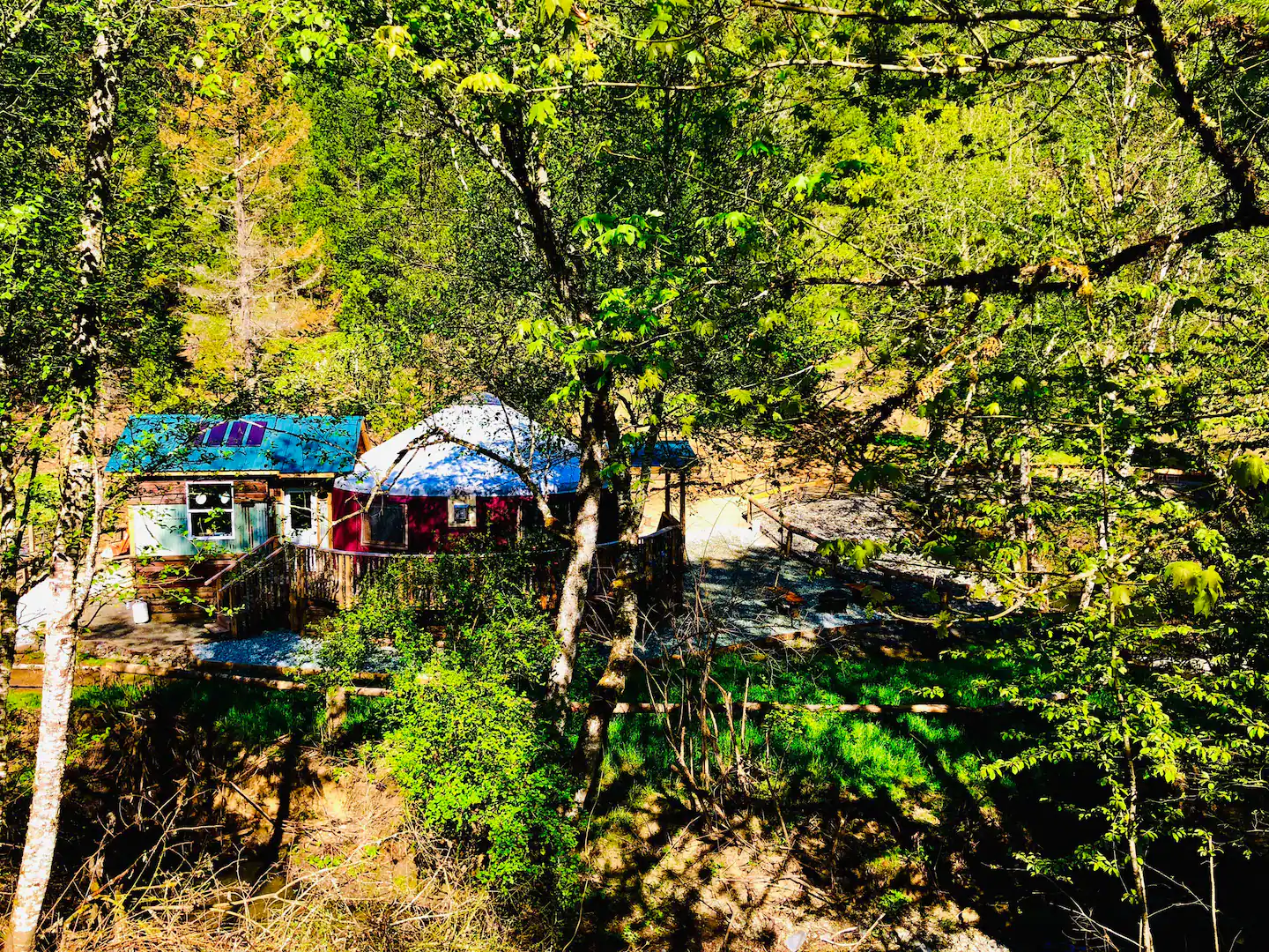Year round running Creek right outside your door surrounded by Massive trees