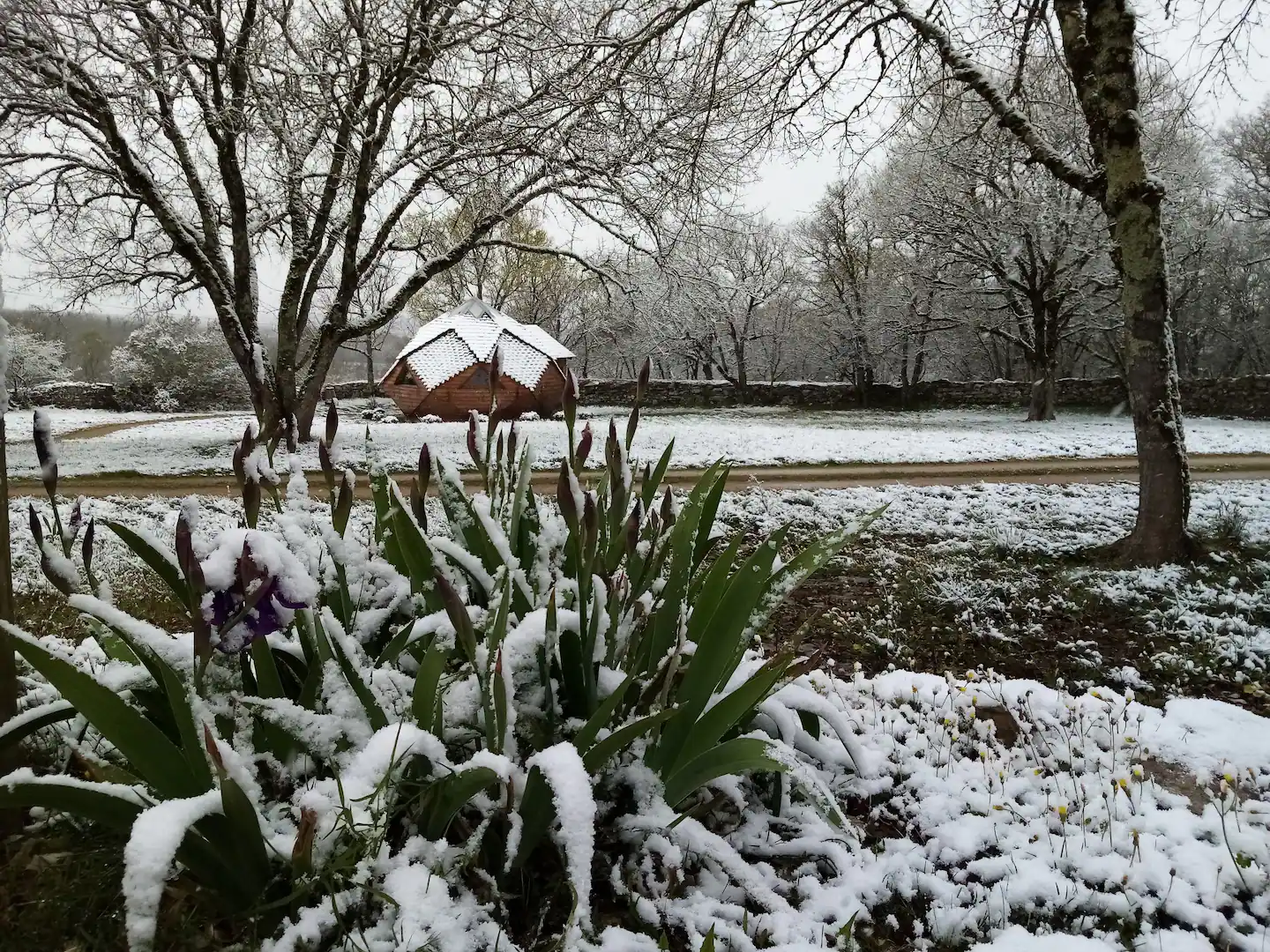 The dome under the snow.
