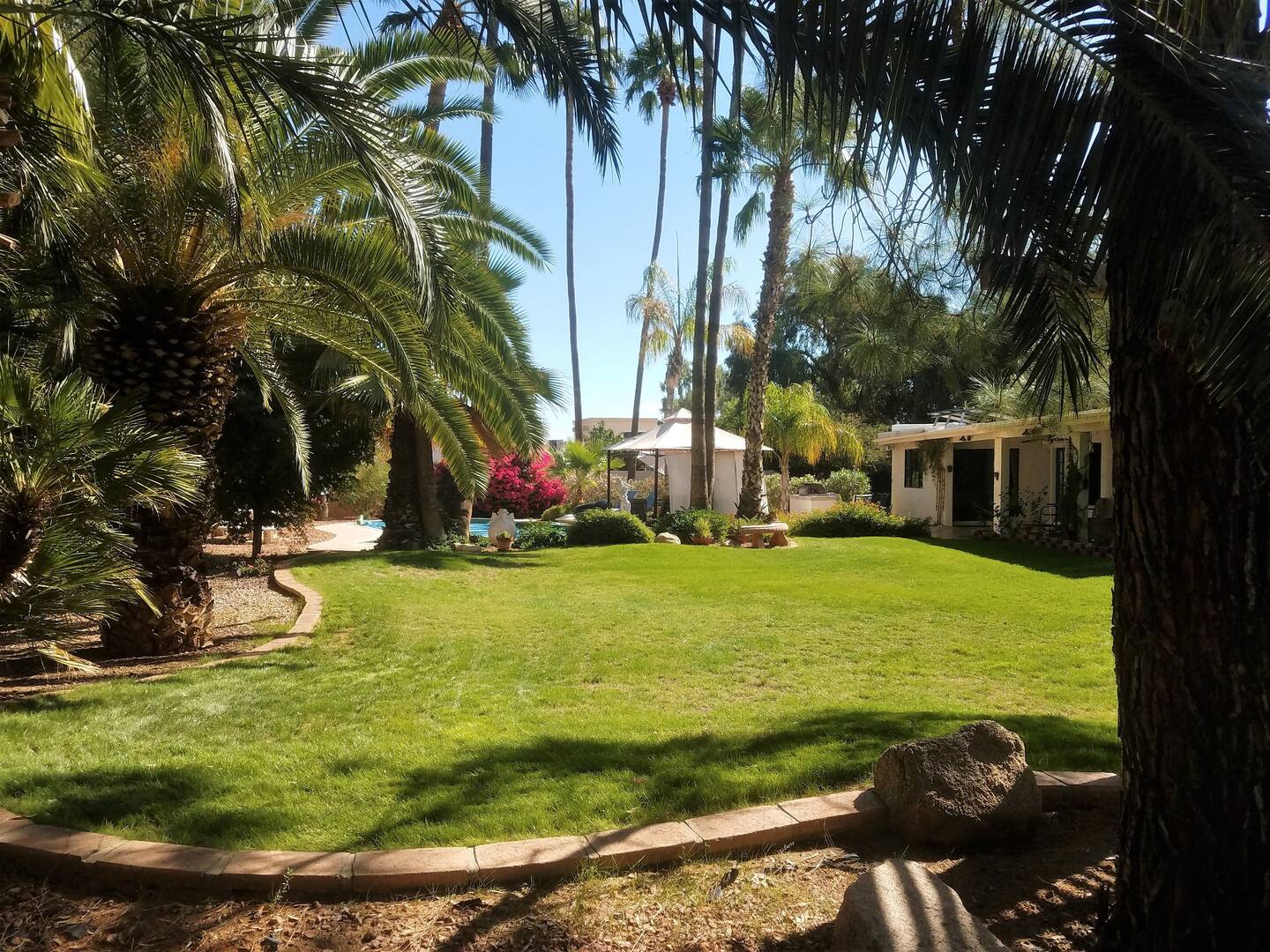 Pleasant view overlooking the pool.