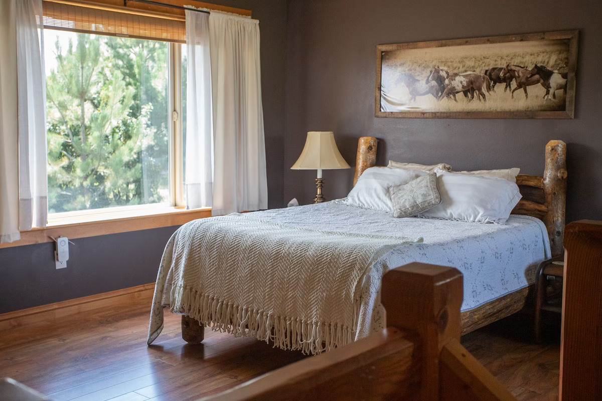 Beautiful sunlit in the master bedroom.