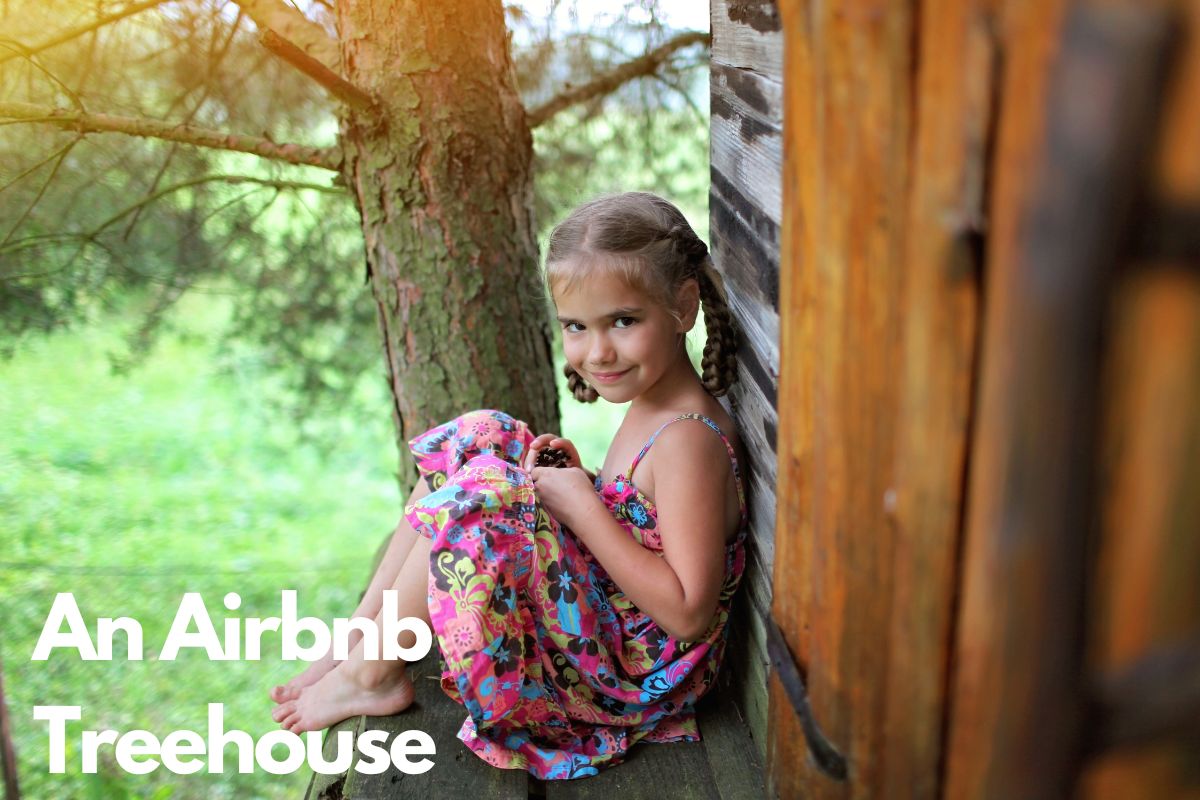 An Airbnb treehouse